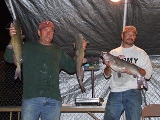 Montana Cats 2008 Outlook