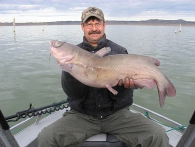 Montana Cats 2009 Outlook