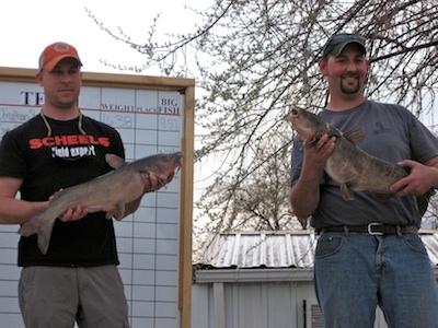 Record Numbers of Catfish Caught at Challenge