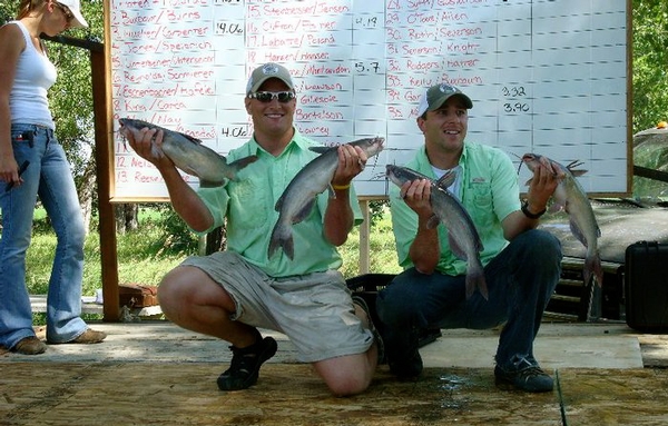 2nd Annual Monster Cat Roundup