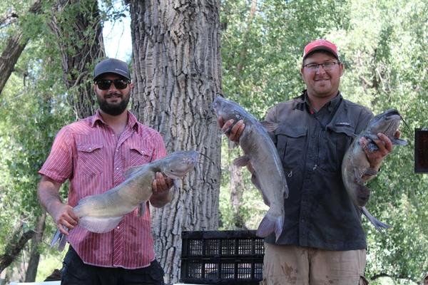 Glendive Squad Crack the Sidney Code