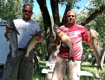 Records Set at Monster Cat Roundup