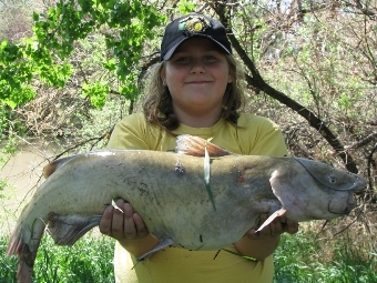 Montana Cats 2010 Outlook