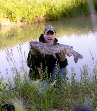 Montana Cats 2011 Outlook