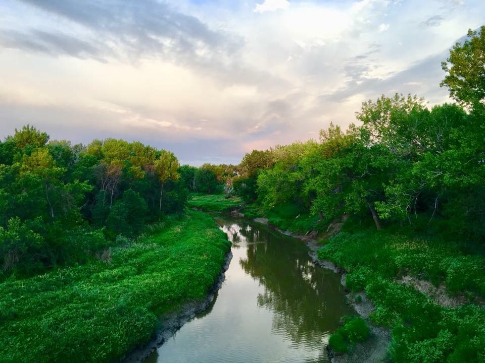 Milk River